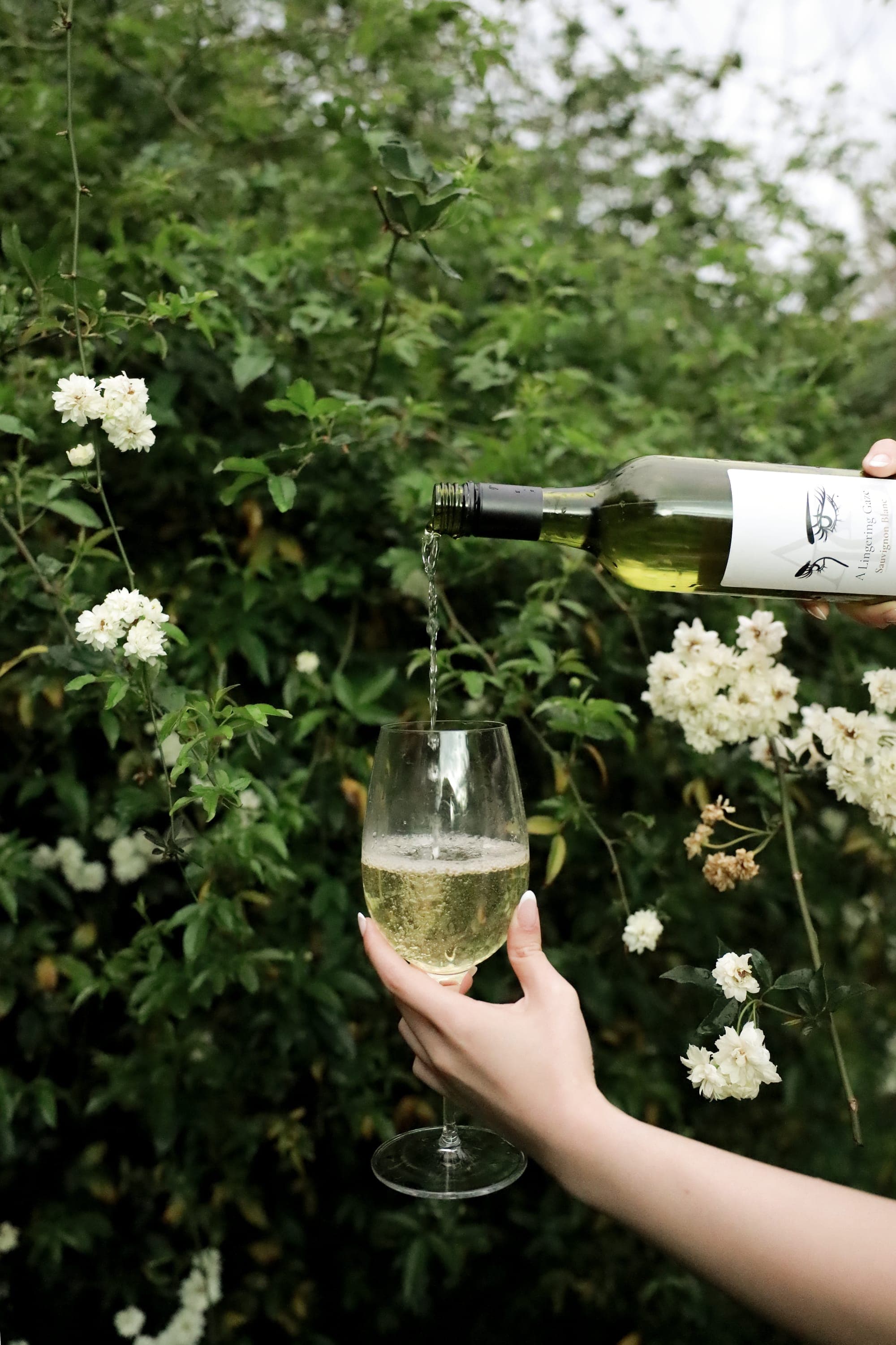 A Lingering Gaze Sauvignon Blanc being poured in a garden